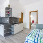 Sunshine D Apartman Crikvenica